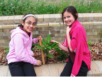 Students in milkweed garden in New Jersey'
