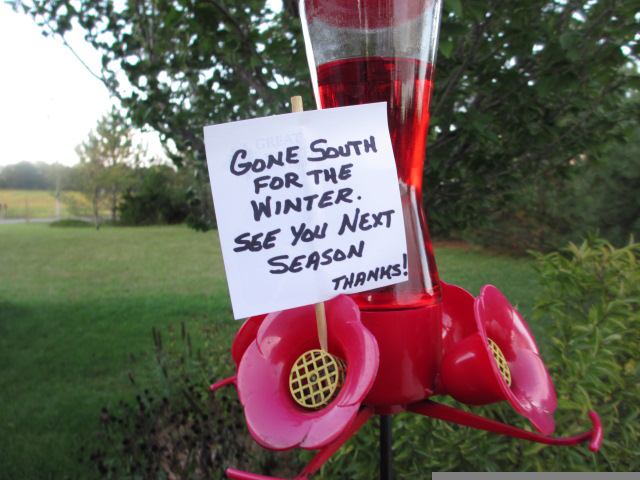 Hummingbird feeder with sign: Gone South for the Winter!