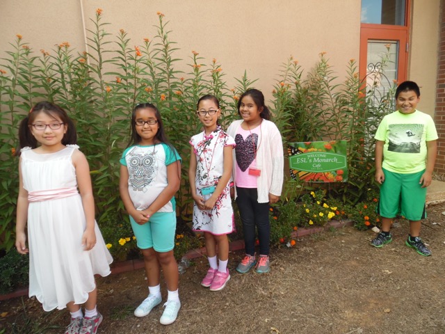 Monarch Sighted In Garden At Reeves Rogers Elementary